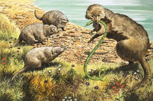 The Snake Catcher (illustration)