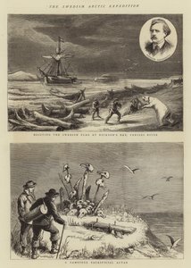 The Swedish Arctic Expedition by English School