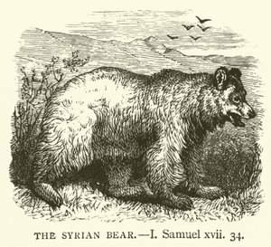 The Syrian Bear, I, Samuel, xvii, 34