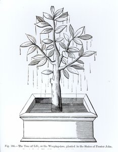 The Tree of Life, or the Weeping Tree, Planted in the States of Prester John, Illustration from Science and Literature in the Middle Ages and the Renaissance, Written and Engraved by Paul Lacroix, 1878 by English School