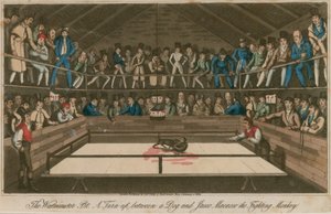 The Westminster Pit: A Turn-Up Between a Dog and Jacco Macacco, the Fighting Monkey by English School