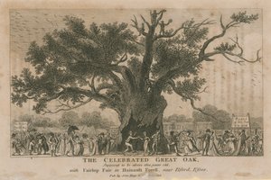 The celebrated Great Oak, supposed to be above 1800 years old by English School