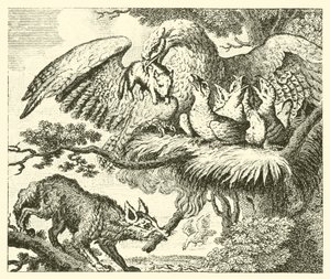 The Eagle and the Fox