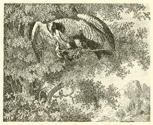 The Hawk and the Nightingale
