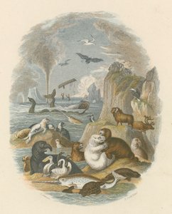 The natural world by English School