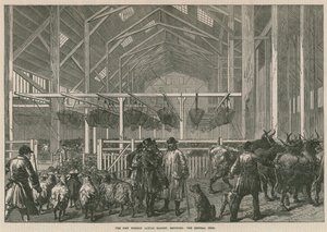The New Foreign Cattle Market, Deptford, London - The Central Shed by English School