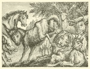 The Old Lion