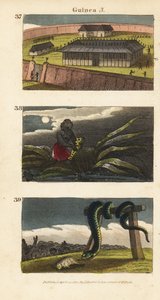 The palace of the King of Dahomey at Abomey, an African man hiding a fetish, and people of Whydah worshipping a huge snake by English School