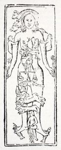 The Parts of the Body Which Control Each Zodiac Sign