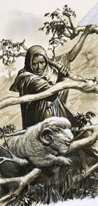 The shepherds of Bethlahem had to rescue their sheep when they became trapped by English School