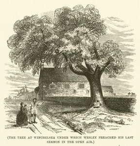The tree at Winchelsea under which Wesley preached his last sermon in the open air by English School