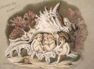 The water babies