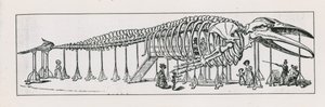 The whole skeleton lounge at Charing Cross