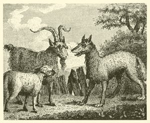 The Wolf, the Lamb, and the Goat