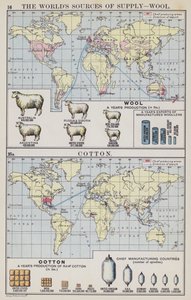 The world