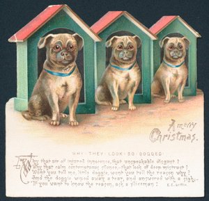 Three Dogs in Kennels by English School
