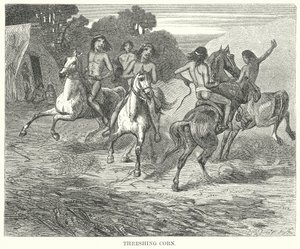 Threshing Corn by English School