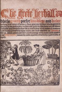 Title page illustrating a garden scene with figures, 1529 by English School