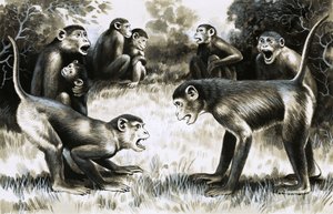Tooth and Claw: Troops of Monkeys by English School