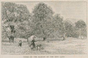 Trees on the Margin of the New Land by English School