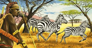 Tribesman and Zebras