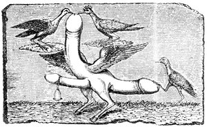 Triple phallus with wings, legs and feet of a goat, a bell, wings, two birds pecking the largest penis and another bird holding down the tail with its foot