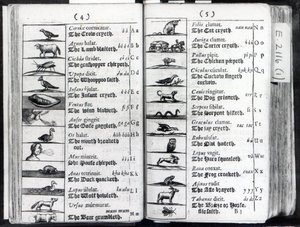 Two pages from Orbis Sensualium Pictus by Comenius, 1659 by English School