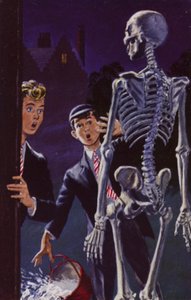 Two Schoolboys and a Cleaned Skeleton