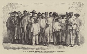 Types of Chinese Immigrants, Free Labourers at Guadeloupe by English School