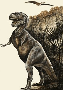Tyrannosaurus Rex by English School