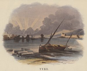 Tyre by English School