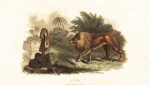 Unknown Image