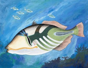 Unidentified Fish