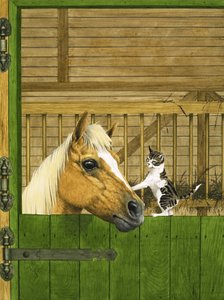 Unidentified Horse and Playful Kitten by English School