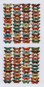 Victorian scraps by English School
