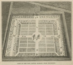 View of the new cattle market near Islington by English School