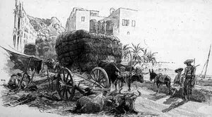 Wagons with Esparto Grass, Almeria, Spain, from 