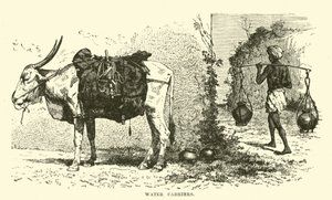 Water Carriers