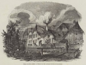 Wells, in Upper Austria, a Wood-Cut in the Austrian Printing Establishment by English School