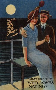 What are the wild waves saying? by English School
