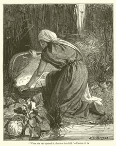 "When she had opened it, she saw the child", Exodus, ii, 6 by English School