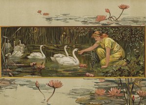 Where the Water-Lilies Grow