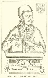 William Lily by English School