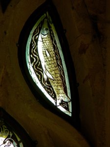 Fish by English School