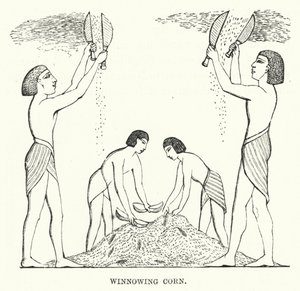 Winnowing Corn by English School