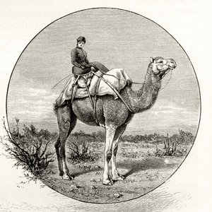Woman on a Camel in Australia, from 