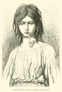 Young Gypsy Girl of Essek, Slavonia by English School