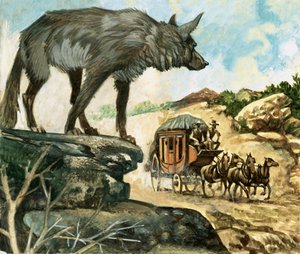 Hungry wolves were among the hazards which beset stage coach travellers