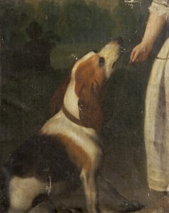 A Hound