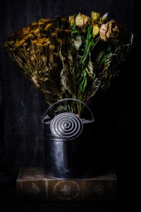 Moody Floral Still Life